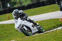 Lower Group White Bikes